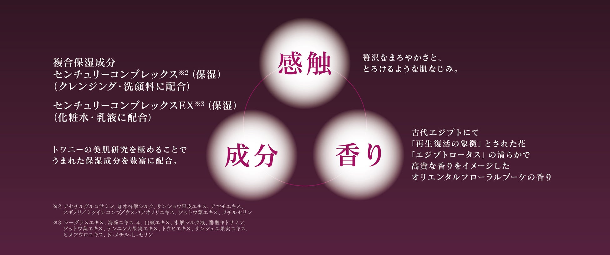 トワニー最高級　エイジングケア※１ライン『トワニー　センチュリー』新たな容器デザインでリニューアル　至福のまろみ感触にこだわった“美容液ローション”を中心に　11月5日（土）新発売のサブ画像3