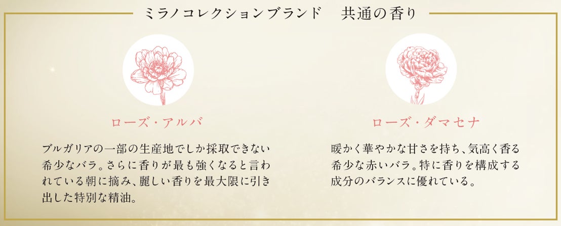 2023年新作フェースアップパウダー、いよいよ発売開始！「ミラノコレクション　フェースアップパウダー２０２３」2022年11月26日(土)数量限定発売のサブ画像10_イラストは香りのイメージです