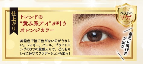 2022年ベスコス発表！ 3365個本気でテストした中でコスメ、スキンケアなど各部門の年間1位に輝いたのは…【LDK the Beauty 1月号】のサブ画像5