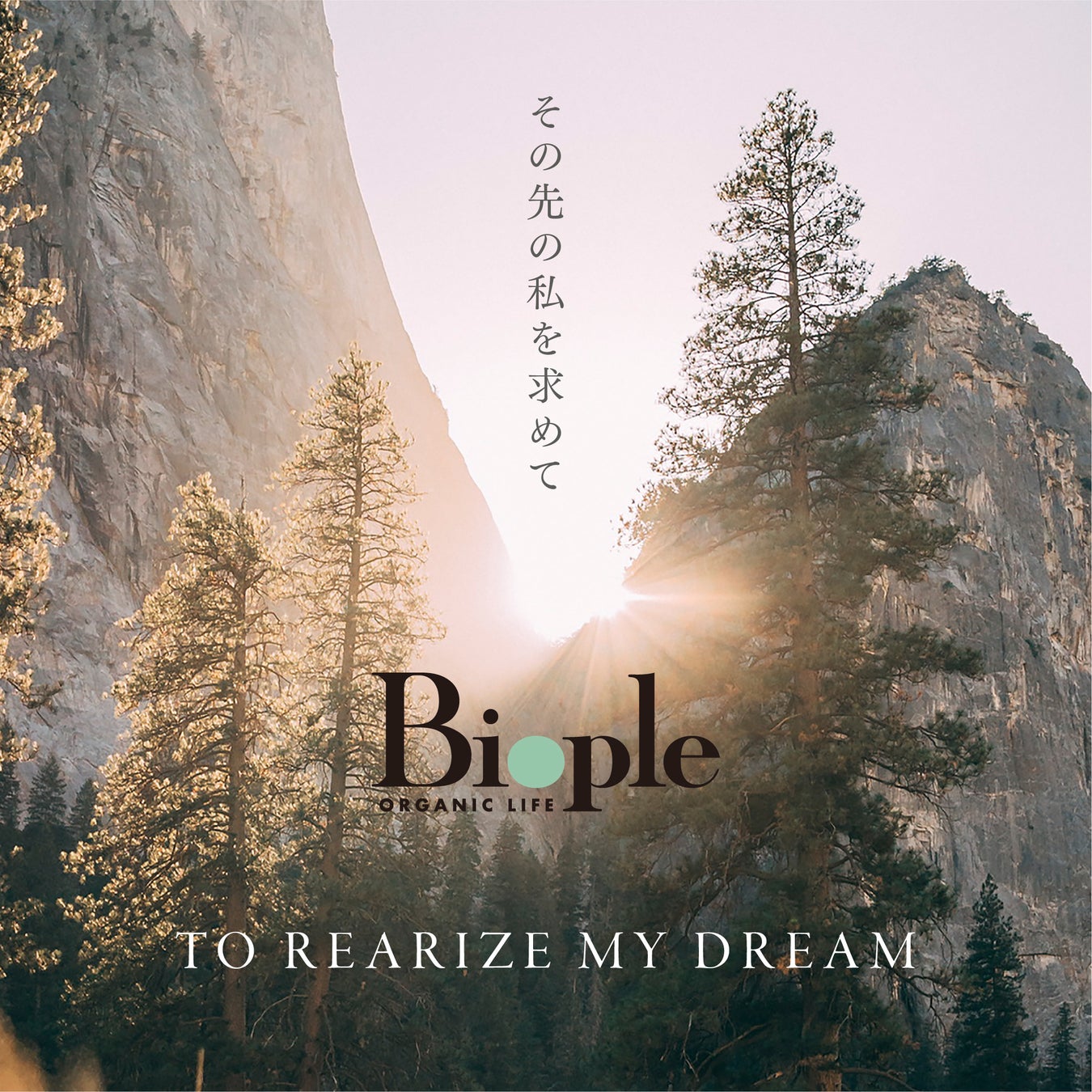 ＜マッシュビューティーラボ＞毎年完売の福袋が今年も全4ブランドより登場！本日、11月15日(火)よりWEB STOREにて先行予約がスタート！のサブ画像13