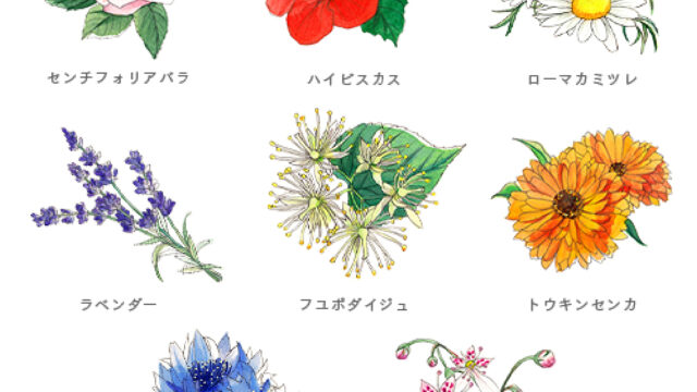 初めての人との外泊。6割以上が“お泊まりメイク”をしている5割以上がお泊りメイクは、目元が重要と回答のメイン画像