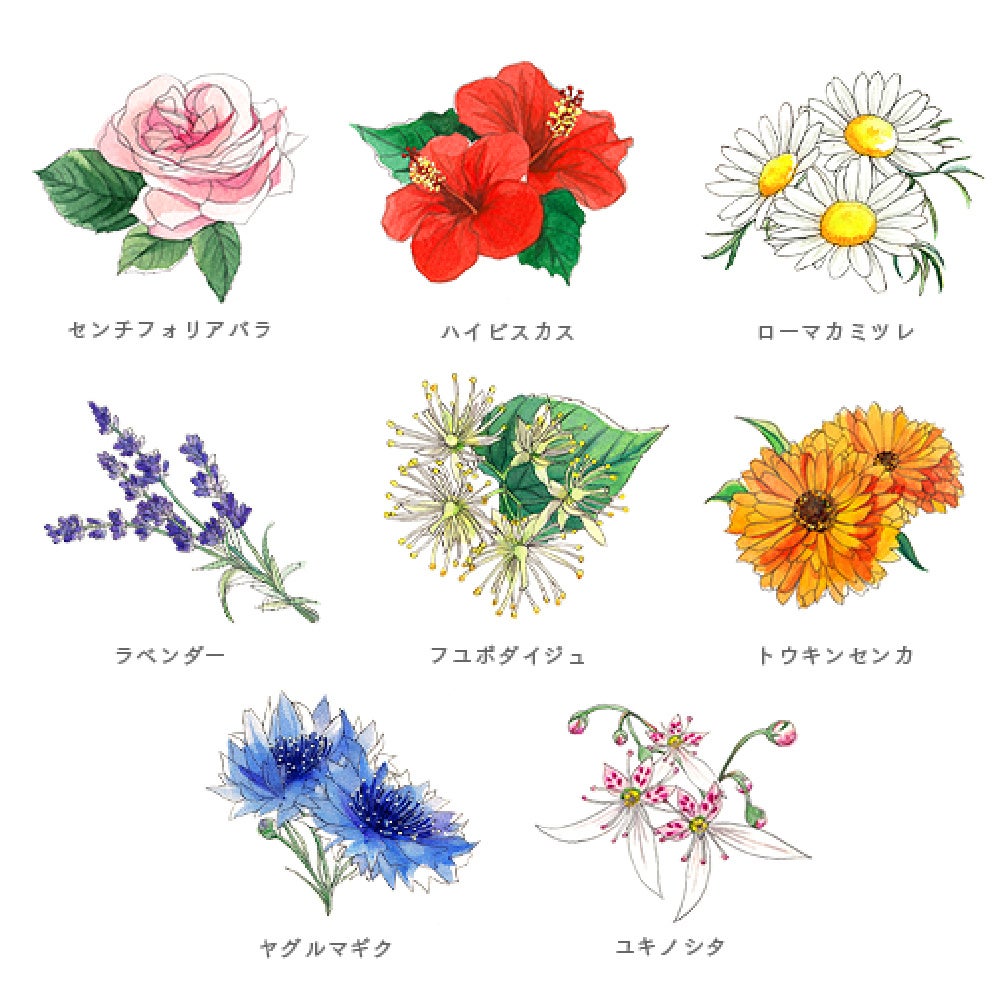 初めての人との外泊。6割以上が“お泊まりメイク”をしている5割以上がお泊りメイクは、目元が重要と回答のサブ画像19