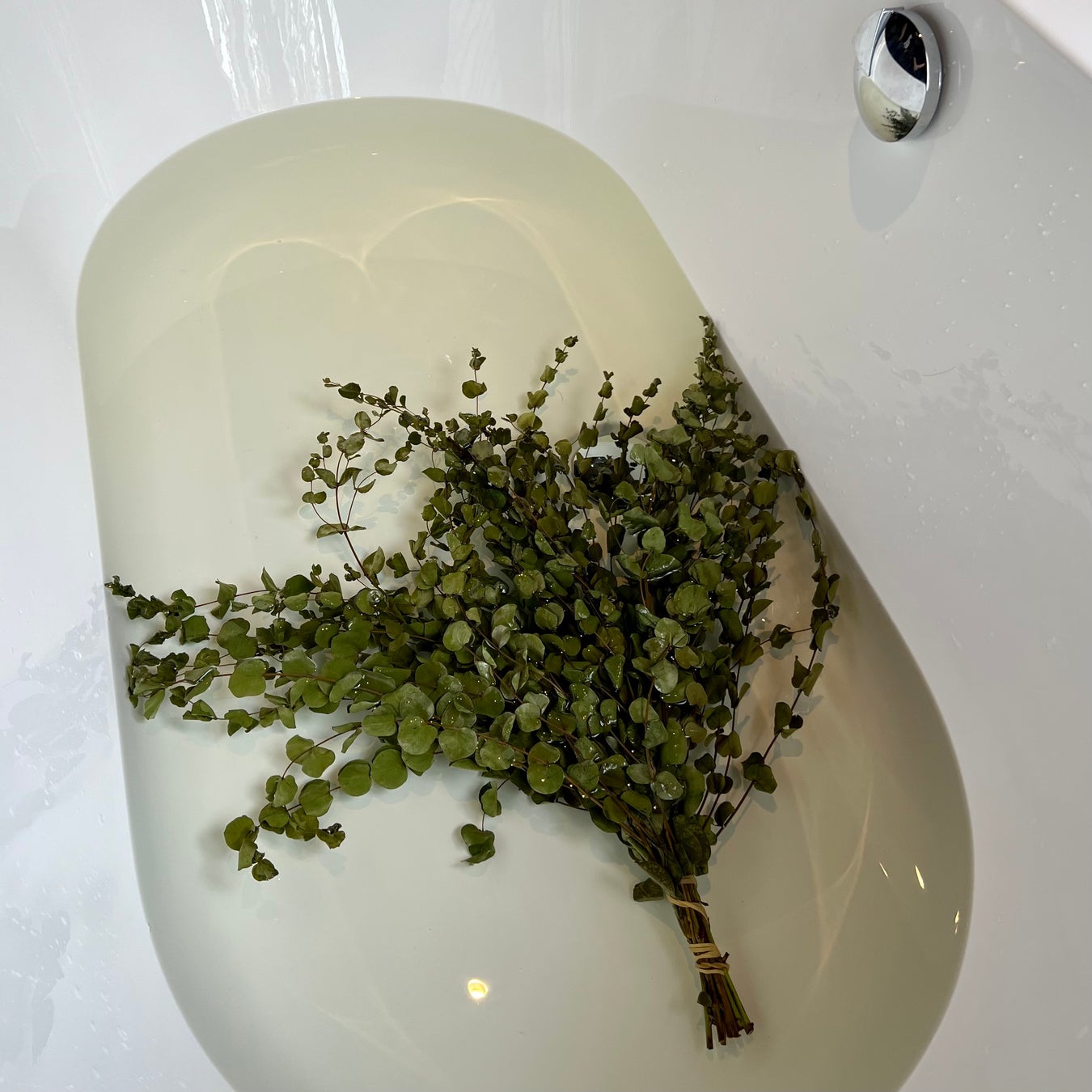 ECサイト「水曜日の小野川温泉」開設を記念し、29日よりサウナハットプレゼントキャンペーン。のサブ画像10_ヴィヒタ