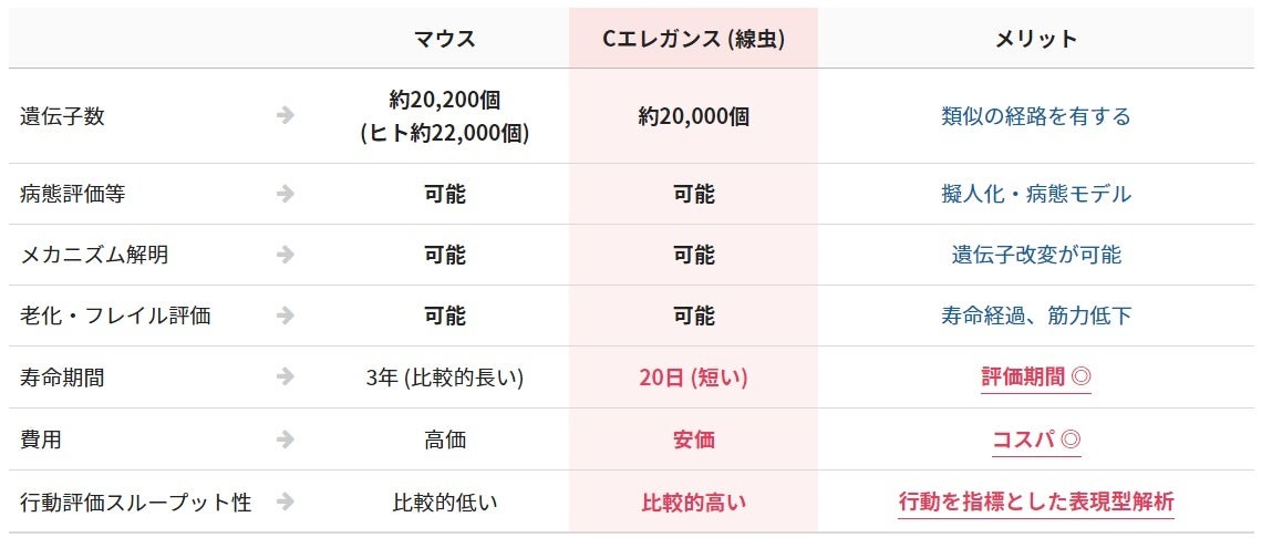 脱・実験動物のモデル生物Cエレガンスの活用でウェルビーイングに挑む株式会社C-HASプラス、化粧品開発展に出展！取締役社長 首藤の登壇も決定！のサブ画像2