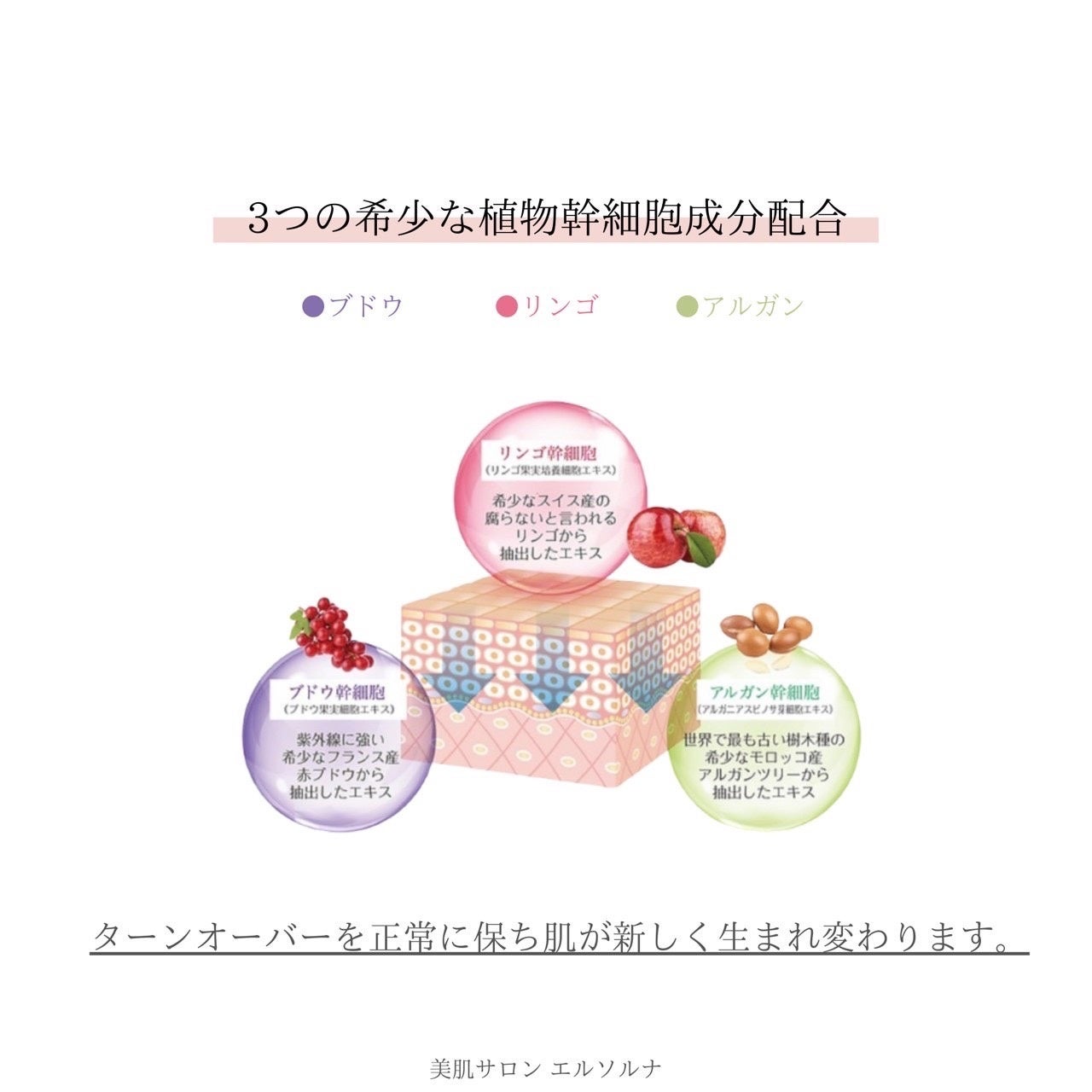 今、美容業界で話題の次世代ハーブピーリング！植物幹細胞の力で肌細胞を活性化させ、陶器のような美しい肌に！多くの著名人もお忍びで通う、話題のエステティックサロン『美肌サロンElsoluna南青山』のサブ画像3
