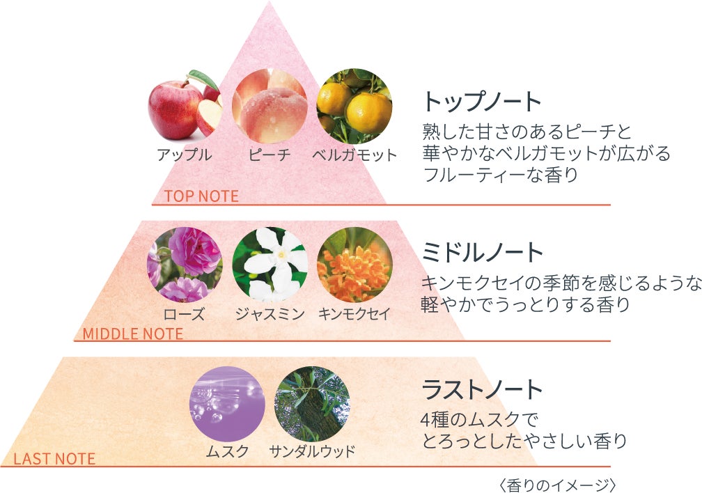 濃密セラム化粧液「ＤＥＷ　アフターグロウドロップ」から懐かしい記憶を呼び起こすような2つの香り 「さんぽみち」 「毛布とおひるね」が登場！12月10日（土）より数量限定で新発売！のサブ画像4