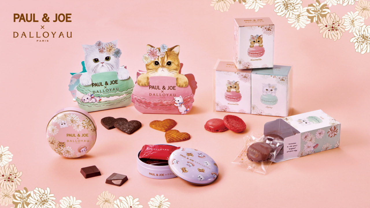 フランス、パリ生まれのブランド「PAUL ＆ JOE」とフランス洋菓子の「ダロワイヨ」が初コラボ！可愛らしい3匹の猫たちをデザインしたスイーツを1/10（火）より発売のメイン画像