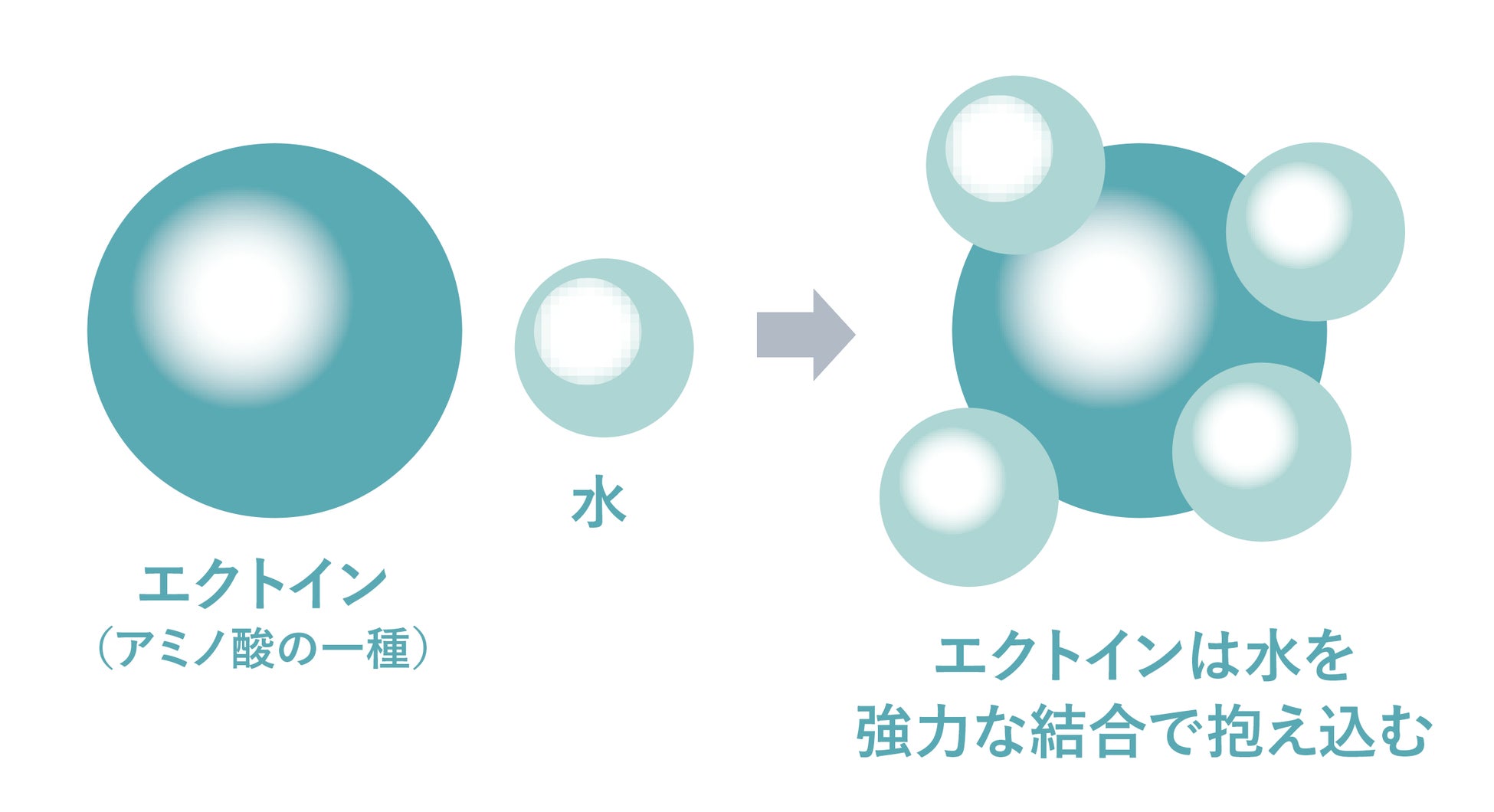 【新製品】美しさが色褪せない、つややかな髪へと導く「ヒュウケア」ブランドから、理想の質感と輝きが続く、高浸透「保水型」オイル　2023年２月21日（火）新発売のサブ画像3