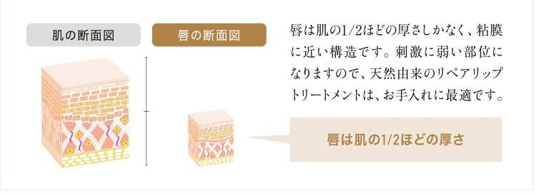 【新発売】無農薬栽培米が原料の“リップ美容液”が誕生。唇の美容パック効果で、冬でもふっくら＆しっとり。のサブ画像7