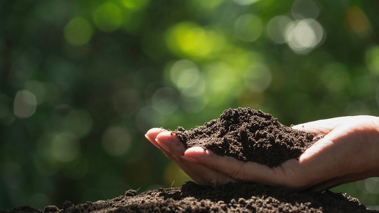 高純度CBD配合 国産オーガニックスキンクリームがMakuakeで先行販売開始！のサブ画像4