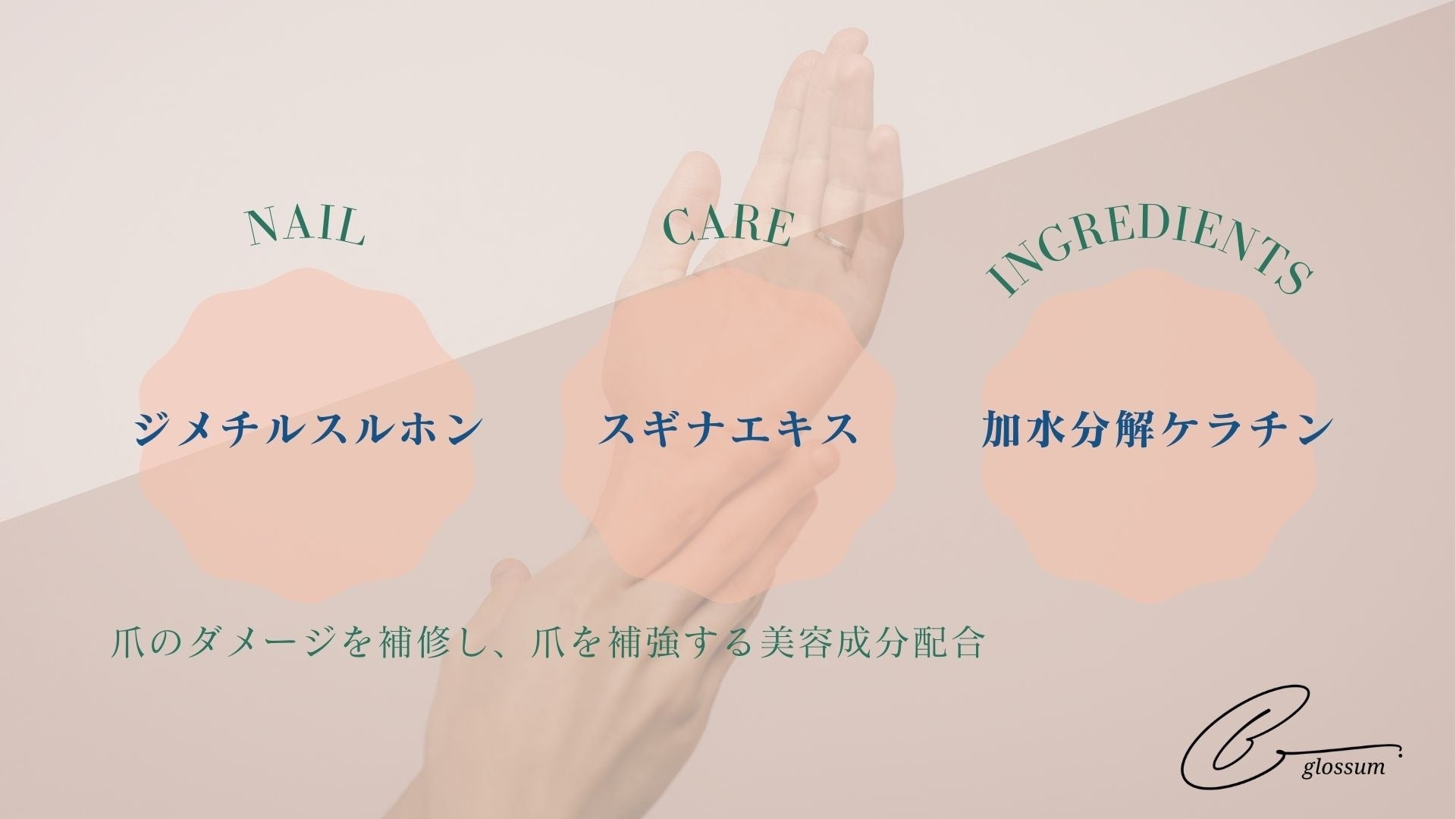 歯科衛生士が抱いていた肌の悩みにアプローチしたコスメブランド“O.glossum”のコスメ第一弾ハンドセラムを発売！のサブ画像2