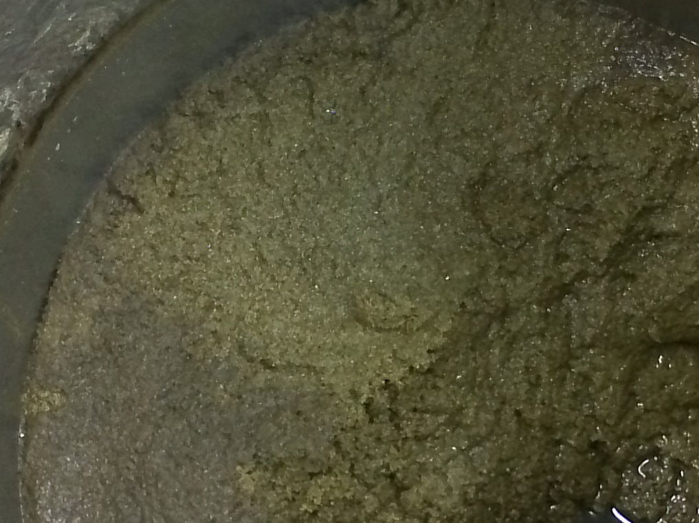 太陽の樹オリーブは一年中、深い緑色！抗酸化成分オレウロペインが凝縮された葉エキスを＜栽培から追求し続ける＞オリーブ専門会社が朝用ボディミルクを発売のサブ画像3_葉エキス抽出