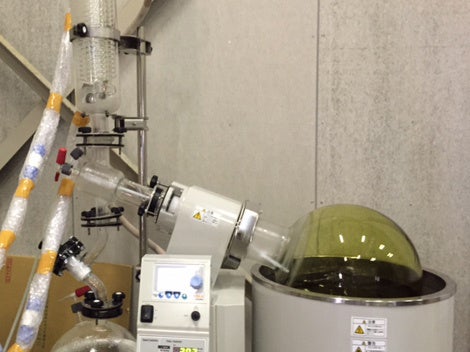 太陽の樹オリーブは一年中、深い緑色！抗酸化成分オレウロペインが凝縮された葉エキスを＜栽培から追求し続ける＞オリーブ専門会社が朝用ボディミルクを発売のサブ画像4_葉エキス濃縮