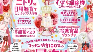 使いやすくて吸引力も高い！女性が選んだスティック掃除機1位は？【LDK 2023年3月号】のメイン画像