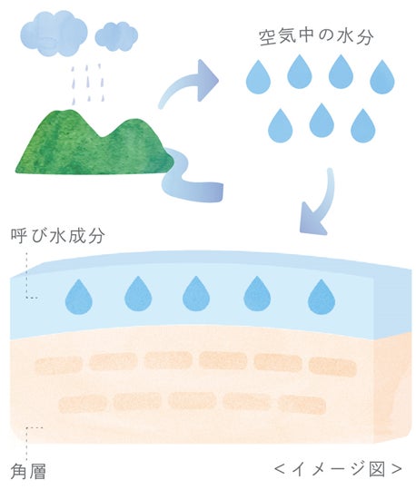 【2023年1月10日】日本の四季や景色、伝統から着想を得たD2Cコスメブランド『esorani』誕生。サステナブルで国産の原料を採用したスキンケアアイテム2品を発売。のサブ画像4