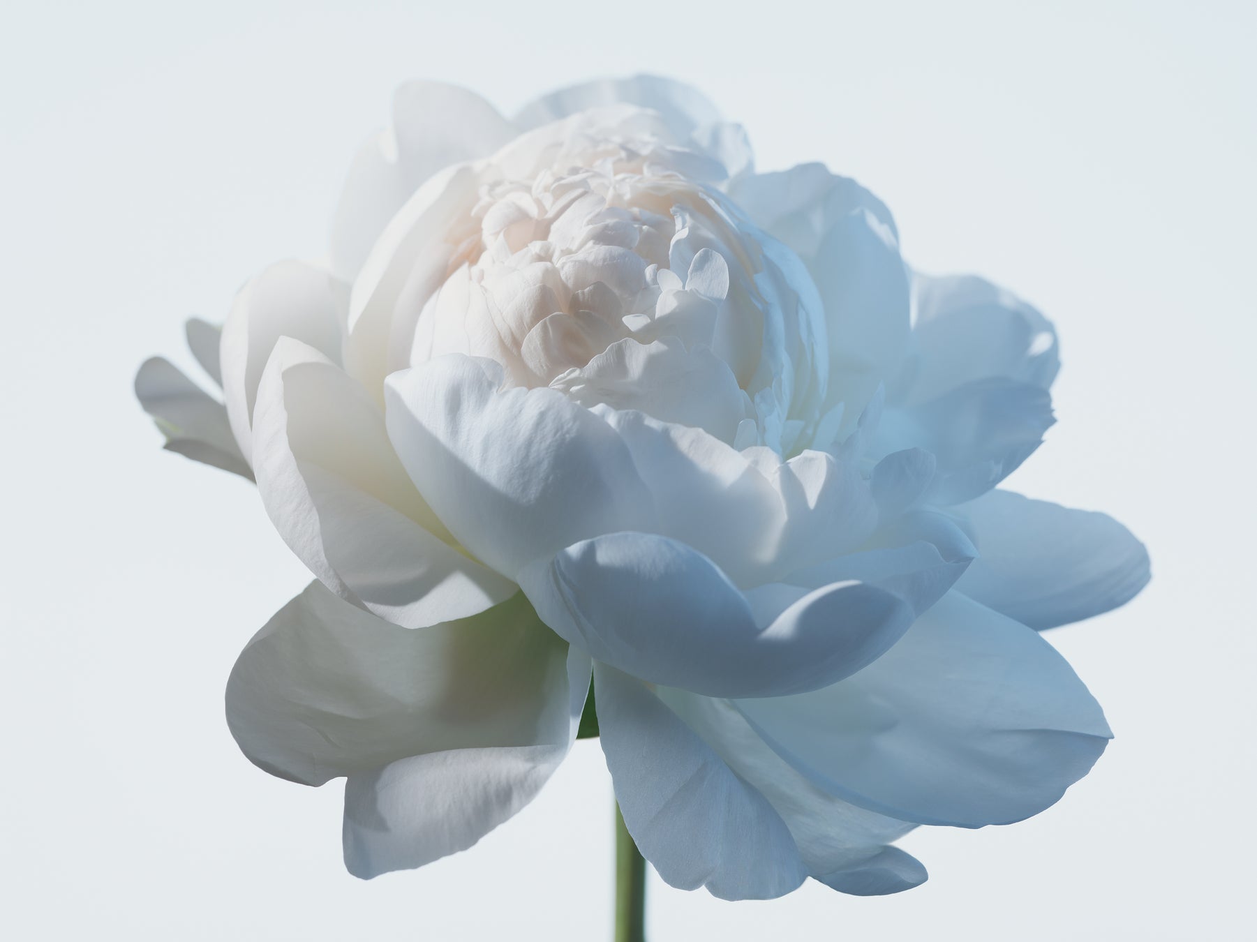 【M·A·C 】様々な肌に触れ、メイク最前線をリードするM·A·Cメイクアップアーティストからの支持を獲得したスキンケアライン ハイパー リアル コレクションが、2023年1月5日新発売のサブ画像4