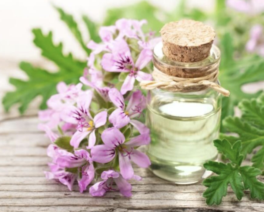 マナラ化粧品:世界初!*1 の先行型集中美容液で、かつてないハリ・透明感へ。シワ改善美白*2美容液が誕生!のサブ画像5