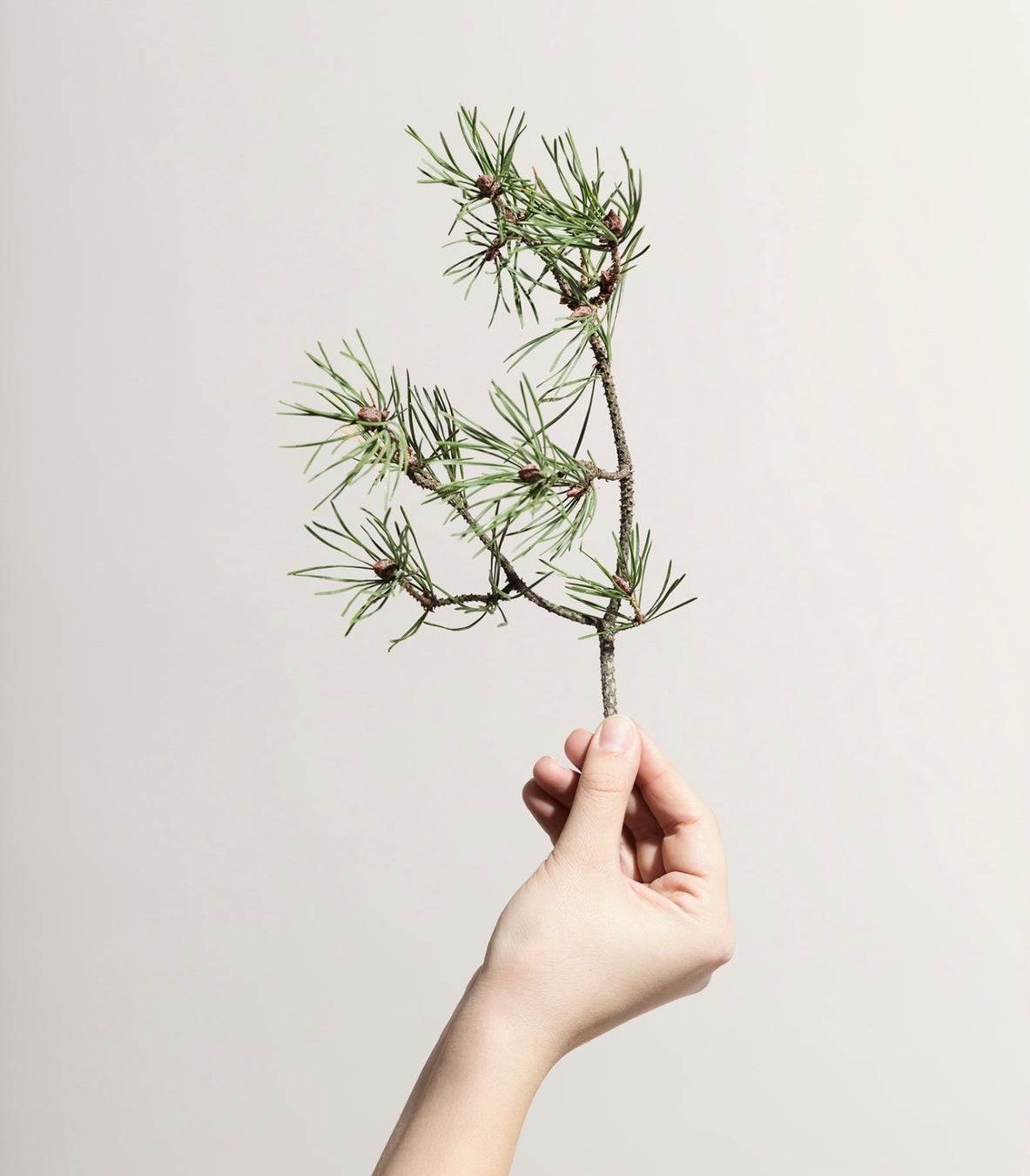 フィンランドのライフスタイルブランド「HETKINEN」ポップアップ開催　1/18（水）〜2/5（日）のサブ画像2