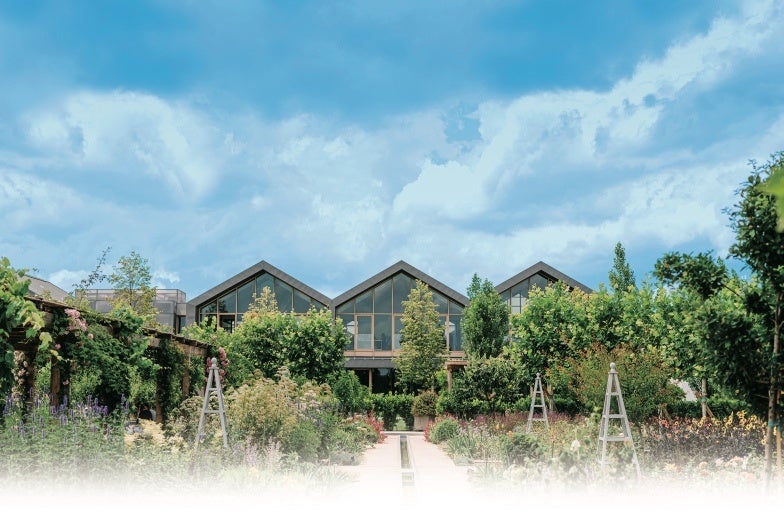 新発売！！ダヴィネスから「オイ ボディ スクラブ」が登場！のサブ画像4