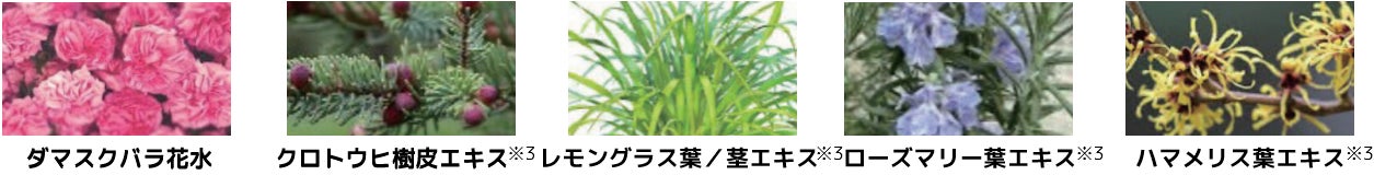 ヘアにもボディにも使える「ダイアンボヌール」ドライシャンプーから新フレグランス「スノーローズの香り」が登場のサブ画像5