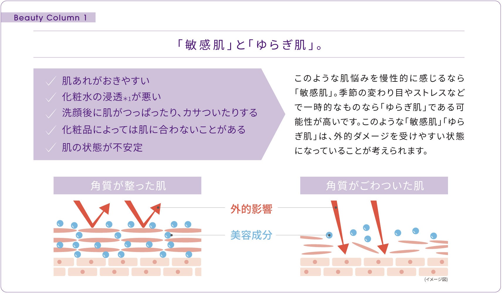 ＜Bb lab.（ビービーラボ）＞みずみずしい感触で、心地よく肌に馴染む敏感肌を考えた美容乳液。外的ダメージから肌を守る「プラセンミルクエッセンス」２月７日（火）新発売。のサブ画像3