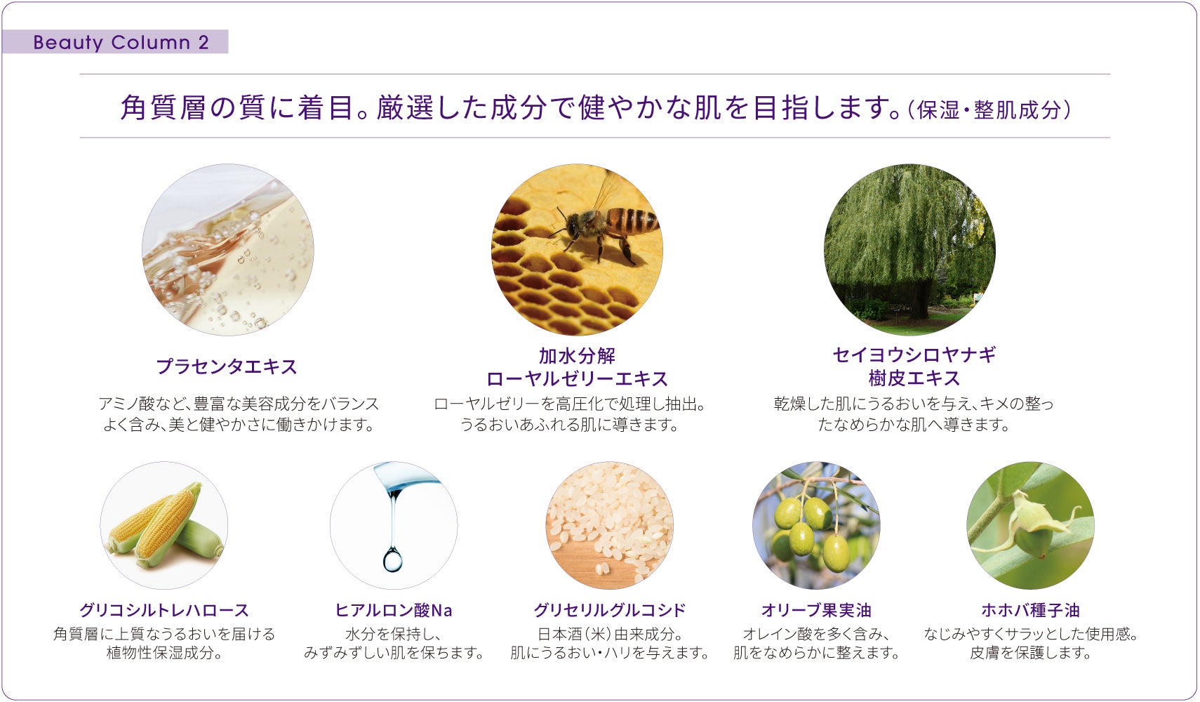 ＜Bb lab.（ビービーラボ）＞みずみずしい感触で、心地よく肌に馴染む敏感肌を考えた美容乳液。外的ダメージから肌を守る「プラセンミルクエッセンス」２月７日（火）新発売。のサブ画像4