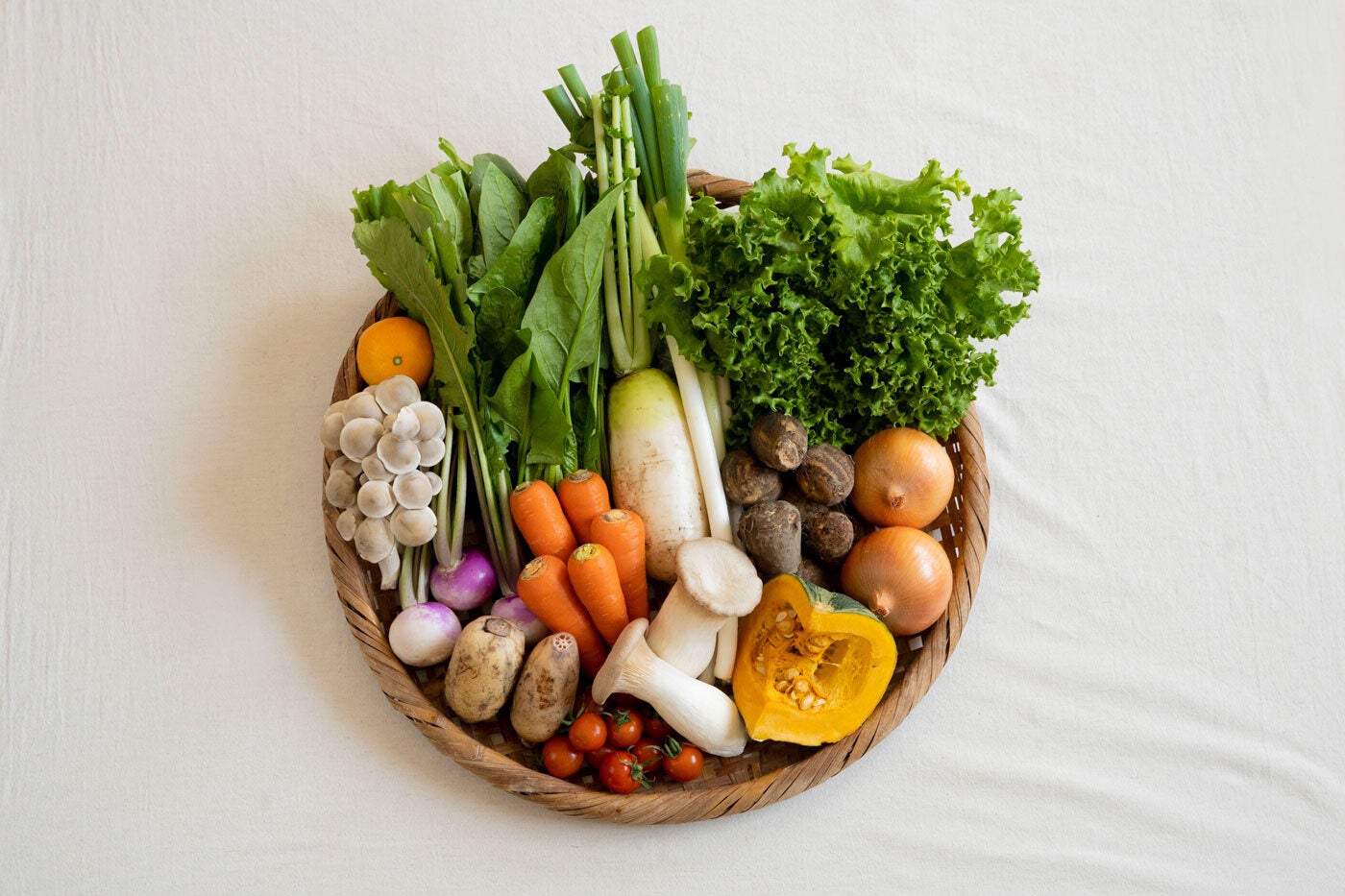 未来の変化のために「今」を耕す将来世代たちが、有楽町マルイの“N・E・Oフェス”にて『インクルージョン×将来世代を紡ぐ起業家feat.taliki』を開催！のサブ画像5