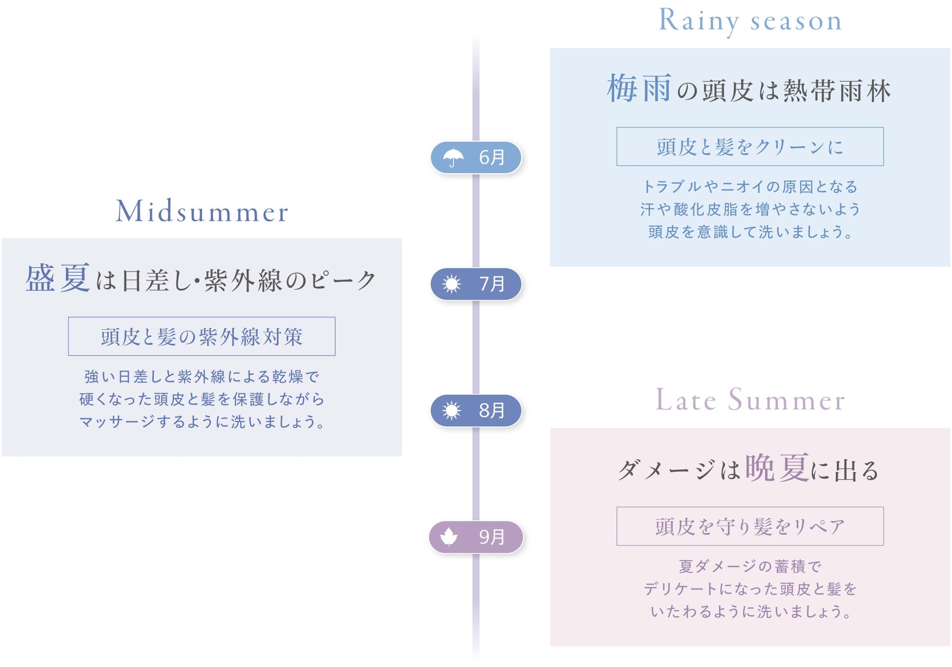 長い夏を快適に。乳酸菌配合のヘッドスパシャンプーが今年も登場。「セルサート プニア シャンプー」2023年3月18日発売のサブ画像2