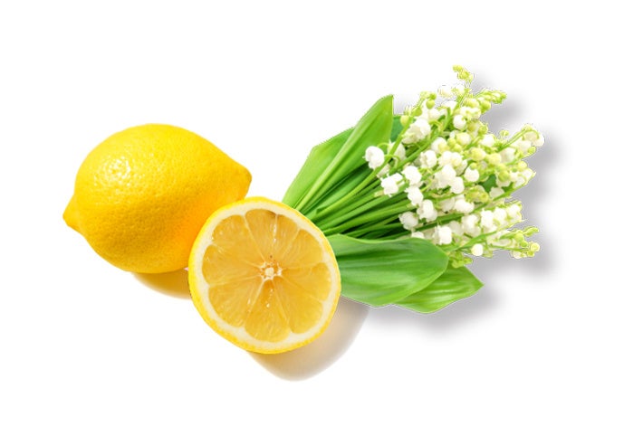 酵素※１洗顔パウダーでおなじみのsuisaiに、クレンジングバームがついに仲間入り　毛穴汚れもからめとる『スイサイ ビューティクリア メルティハンターバーム』登場！のサブ画像4_香りのイメージ