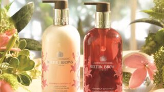 20年以上愛されるベストセラーコレクションが華やかな春の装いに　ジンジャーリリー　限定デザインのメイン画像