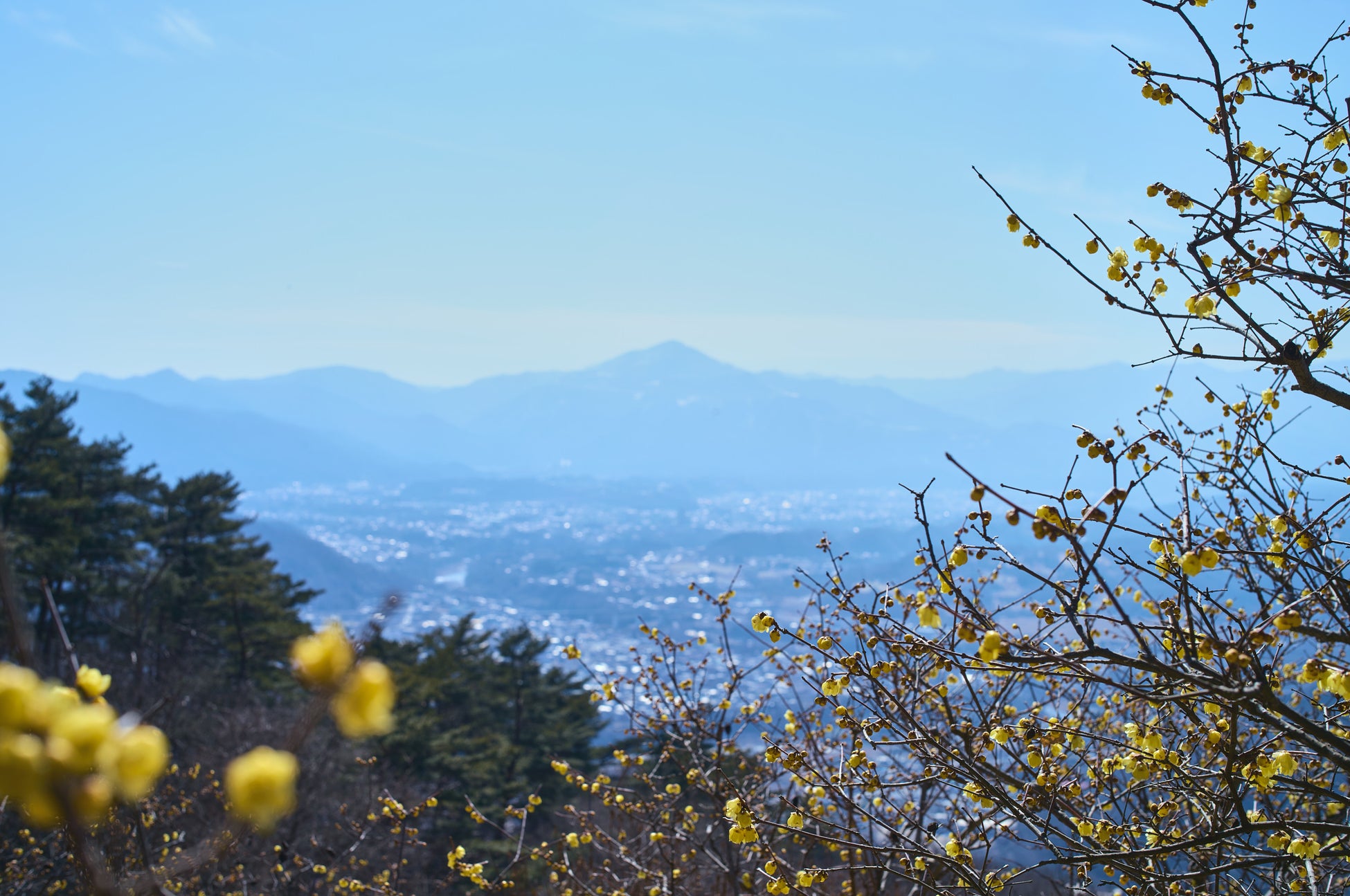 人と自然と未来を美しくするライフコンディショニングブランド
