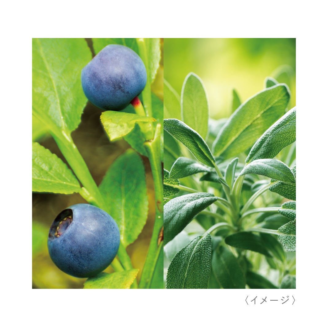 “べたつくのに乾燥する“悩みに着目したオイルレスな使用感の水膜化粧液「トワニー　アクアコンフォーター」5月6日（土）発売のサブ画像4