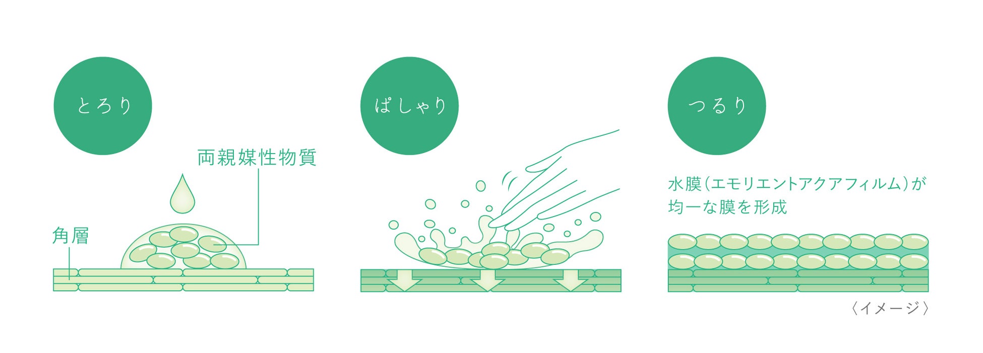 “べたつくのに乾燥する“悩みに着目したオイルレスな使用感の水膜化粧液「トワニー　アクアコンフォーター」5月6日（土）発売のサブ画像5