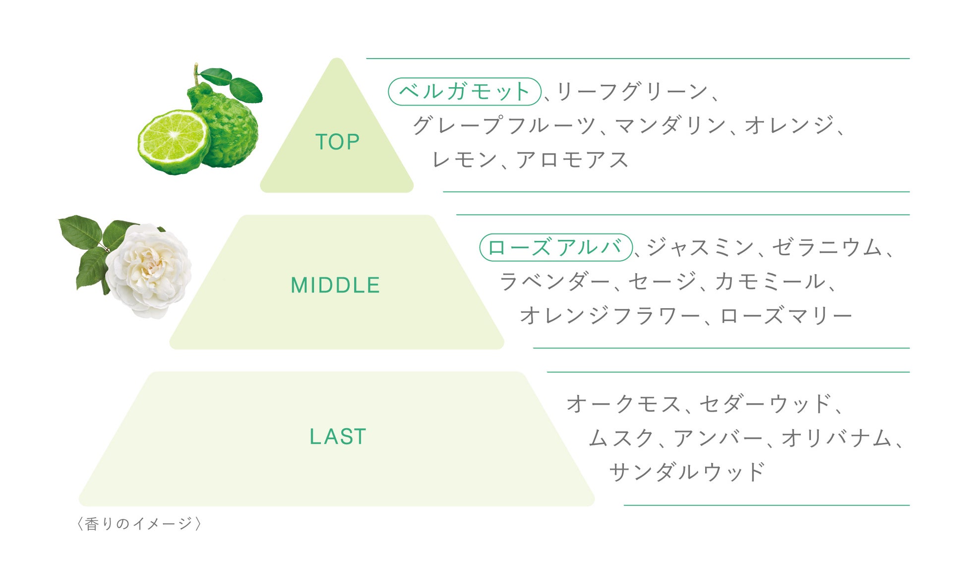 “べたつくのに乾燥する“悩みに着目したオイルレスな使用感の水膜化粧液「トワニー　アクアコンフォーター」5月6日（土）発売のサブ画像6