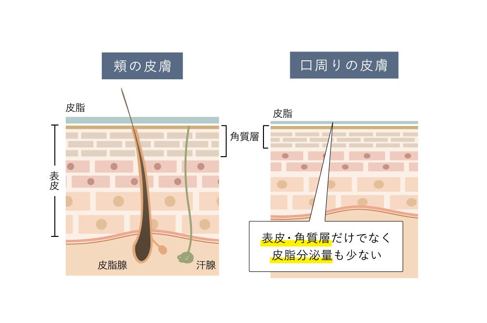 OSAJI（オサジ）より、口まわりの肌にうるおいとツヤをもたらす「マスクライン クリーム」が2023年4月28日（金）発売のサブ画像2