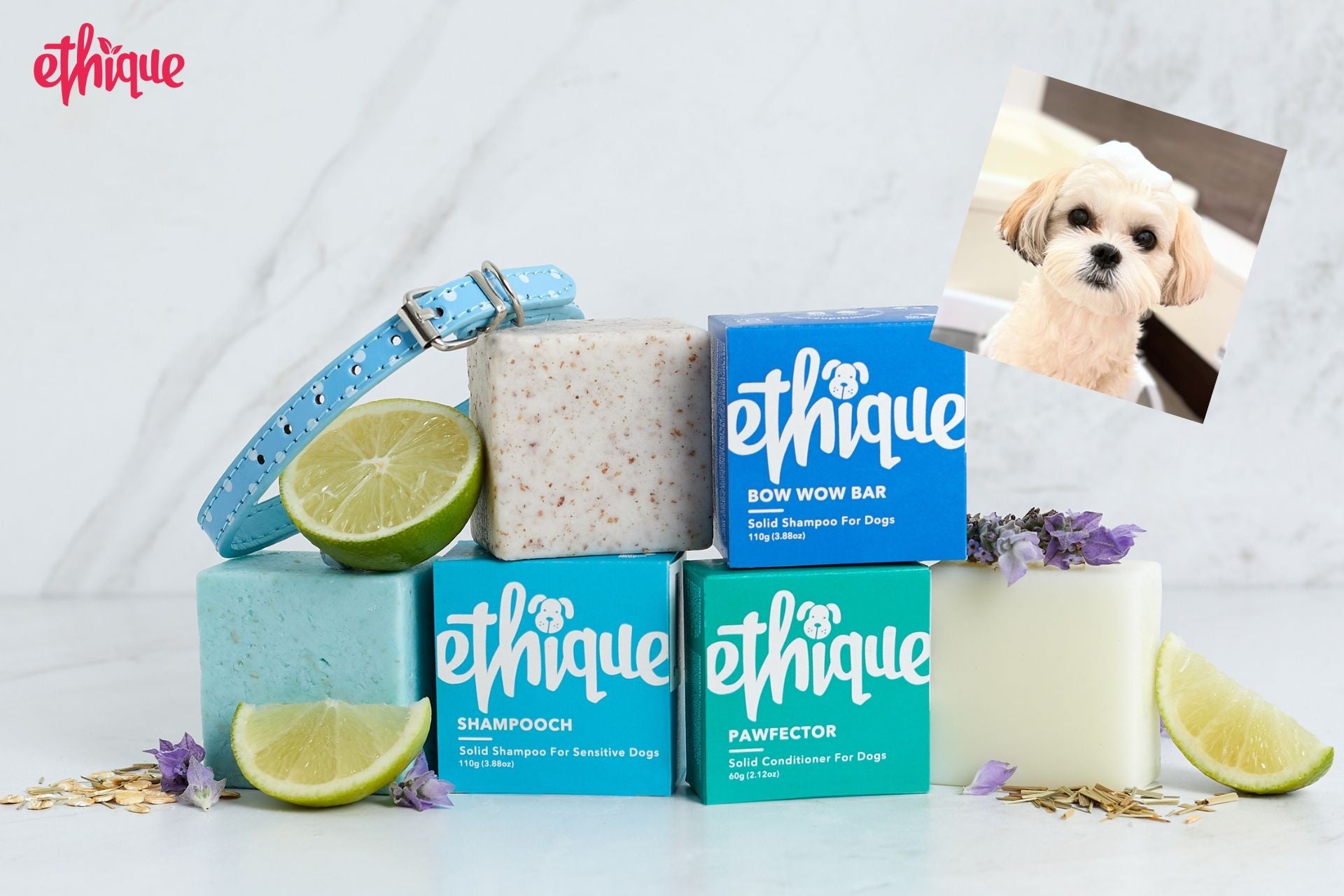 地球と人に優しいライフスタイルショップ「ethicame(エシカミー)」、4/29(土)〜30(日) 大磯ロングビーチで行われる大規模アウトドアイベント「sotosotodays market」に出展のサブ画像4