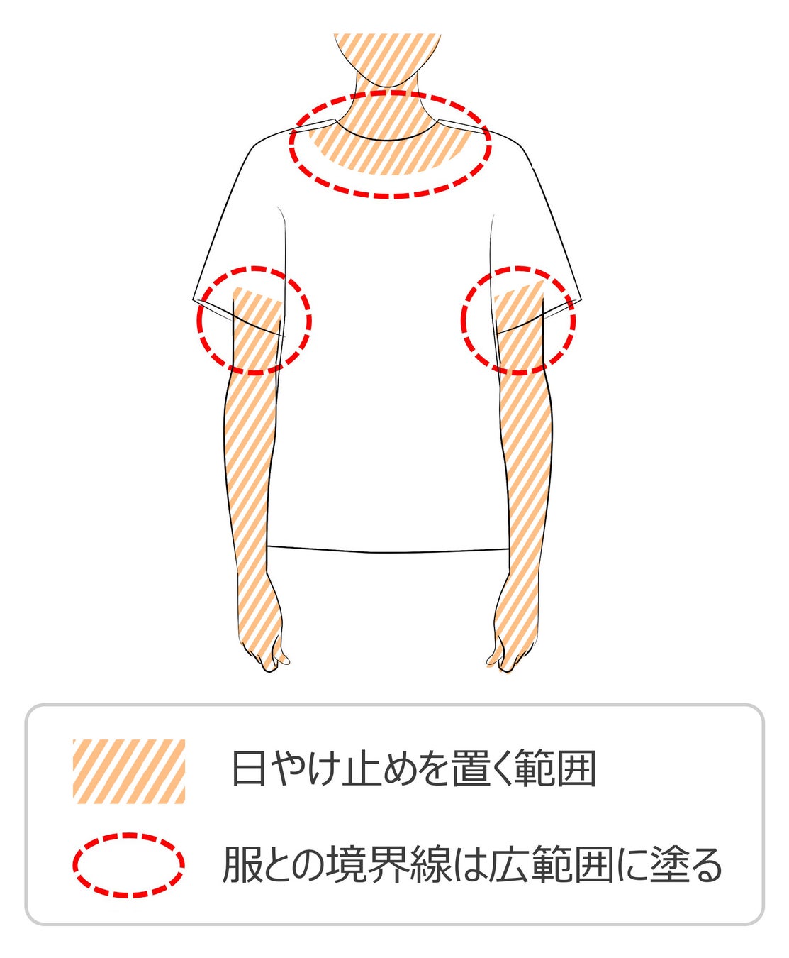 【過去の日やけ】約９割が後悔！「あの頃、日やけ止めを塗っていれば良かった」ボディの日やけ止め 塗り方テクニックをご紹介のサブ画像4