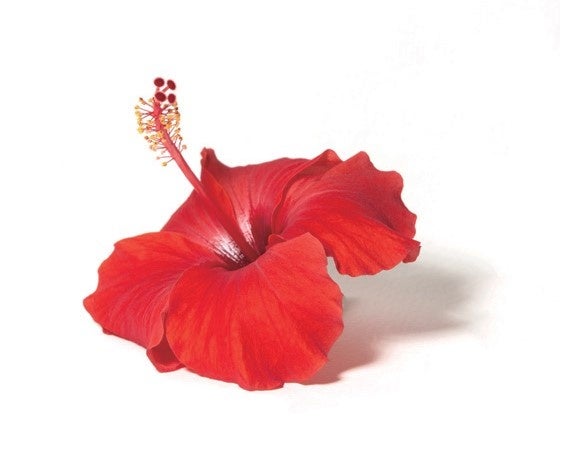 くすみオフして、肌、晴れやかに。のサブ画像2