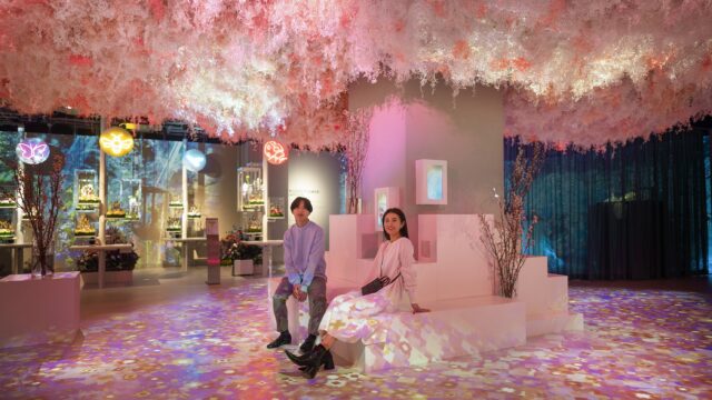 「NAKED FLOWERS FOR YOU」、会期満了を控えフィナーレへのメイン画像