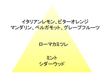 イタリア原産の甘くみずみずしいレモンに爽やかなミントが香る、クールタイプのメイク仕上げ用ミスト。のサブ画像3