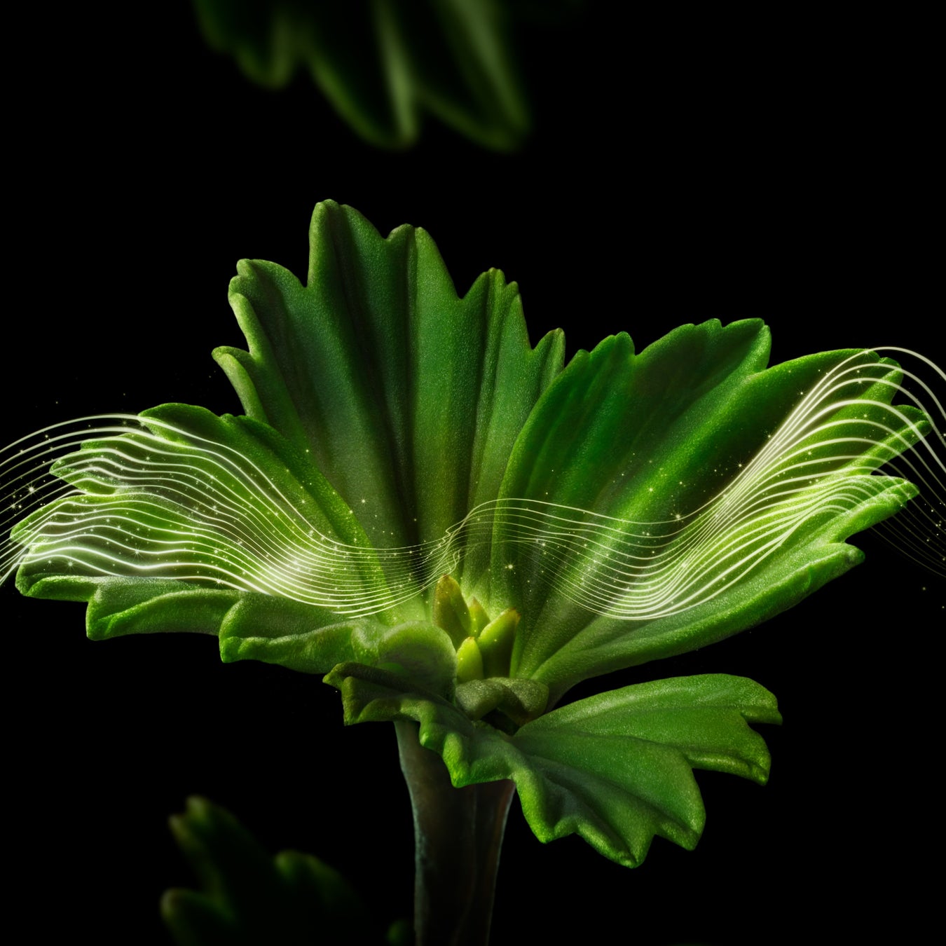 肌の奥の層*1 まで深く浸透。ハリとなめらかさをもたらす次世代*2 アイトリートメント「クレマ ネラ ファーミング メタ アイ トリートメント」が2023年6月2日（金）に新登場のサブ画像3_＜イメージ＞