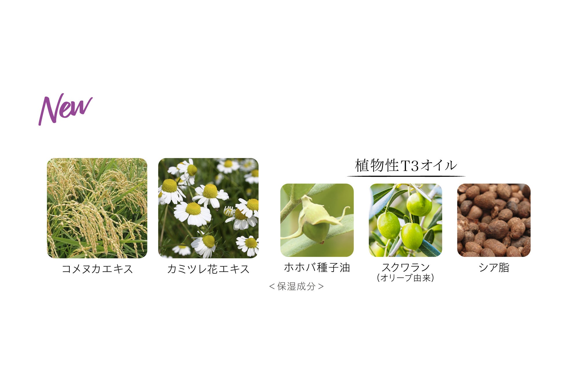 ヴェールをまとったかのような透明感あふれる肌へ。大人気 江原道 プレストパウダー が、2023年4月25日（火）リニューアル発売！のサブ画像10