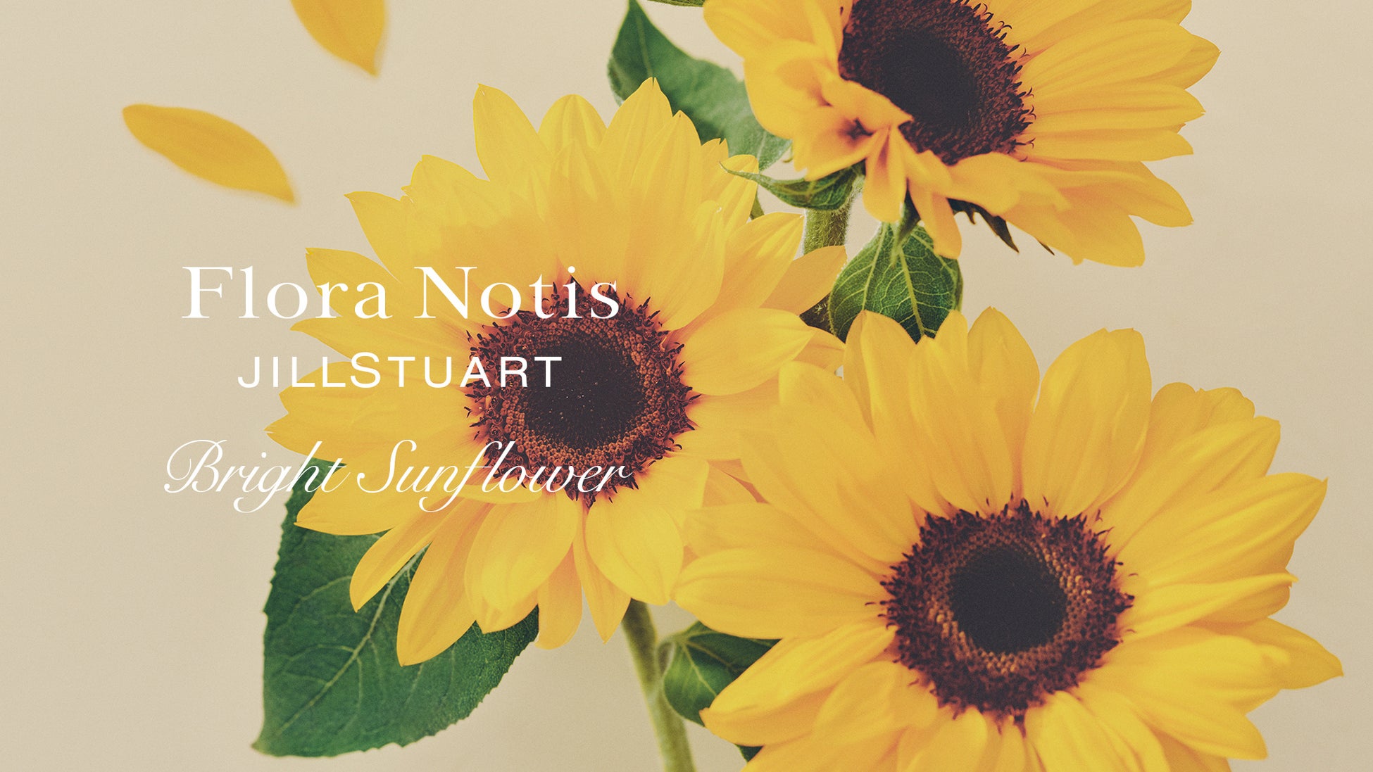 【フローラノーティス　ジルスチュアート】髪に、心に、華やぎを添えるブライトサンフラワーの香りの限定品が登場。人気の２アイテムがセットに。のサブ画像1