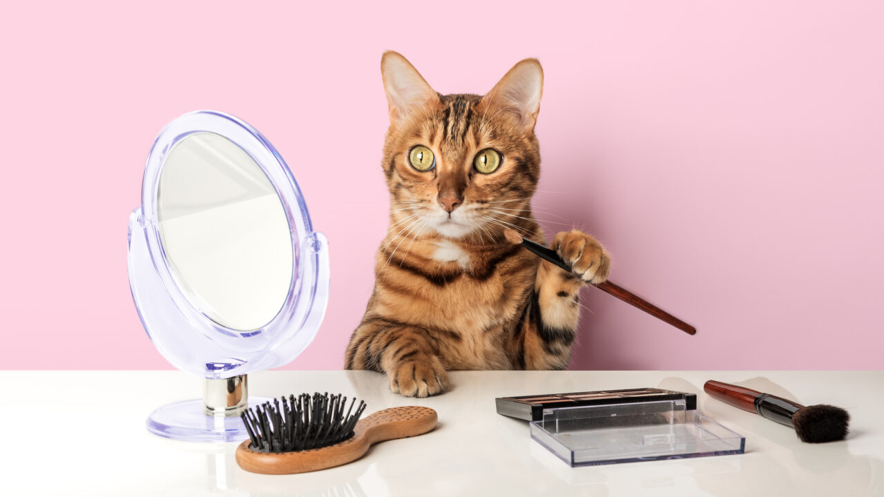 カラコンの使い方と選び方、多数派は「さりげない変化」と「自分に似合う」ことを重視のメイン画像