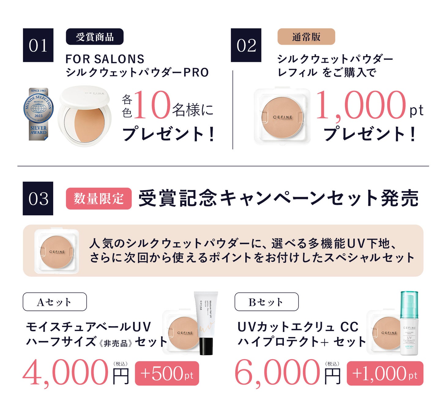 サロン専売ファンデーション「FOR SALONS シルクウェットパウダー PRO」が2023モンドセレクション銀賞受賞！のサブ画像2