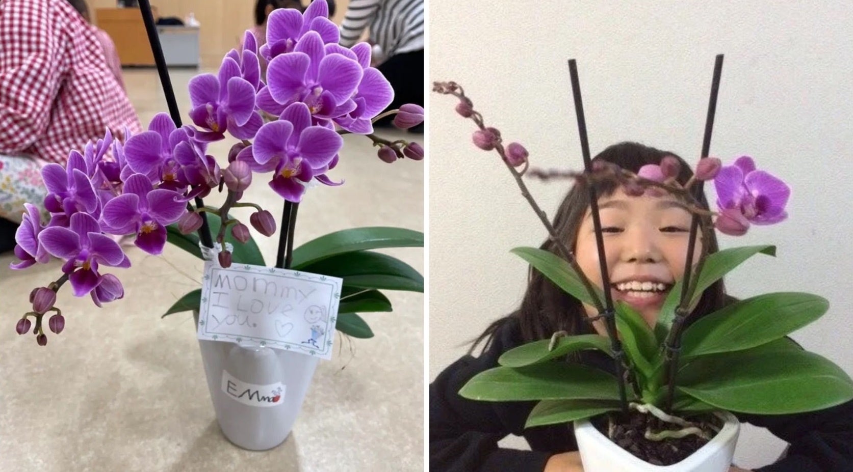 1日限り究極のアフタヌーンティーイベント！様々な分野で活躍する神戸蘭子さん、前田有紀さんのトークワークショップでANNALALATY美容液プレゼント！withホテルインターコンチネンタル東京ベイのサブ画像9