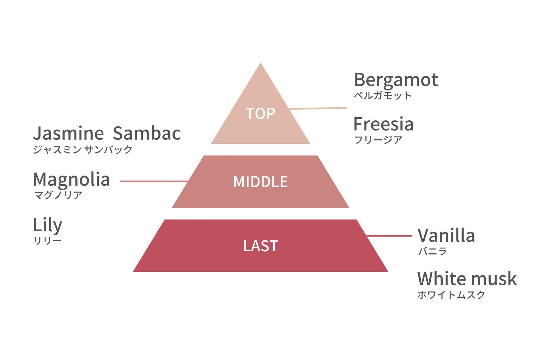 アイスランドポピーをモチーフに”愛“を表現した限定フレグランス「 Warm Vanilla〈ウォームバニラ〉」2023年9月1日(金)発売のサブ画像3
