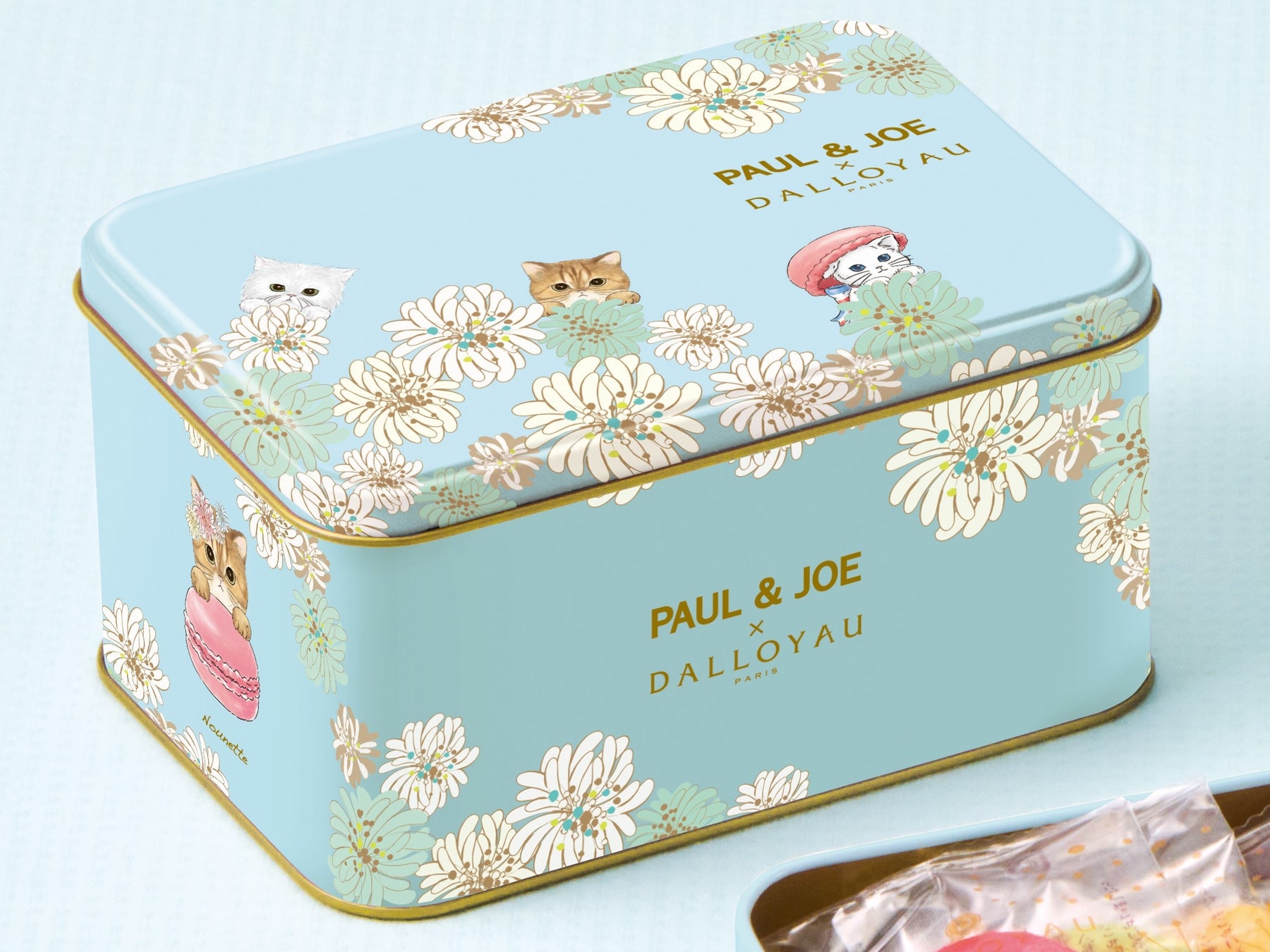 フランス、パリ生まれのブランド「PAUL ＆ JOE」とフランス洋菓子の「ダロワイヨ」のコラボ第2弾！可愛らしい3匹の猫たちをデザインしたスイーツを7/20（木）より発売のサブ画像18