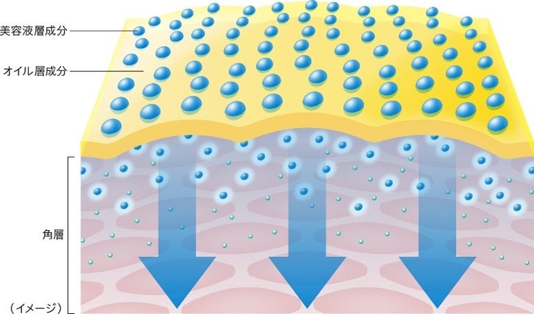 潤いを与えても乾燥が気になる肌へ。砂漠の生命※1から学んだ「エスト ザ オイル」が2023年10月6日（金）新発売のサブ画像3